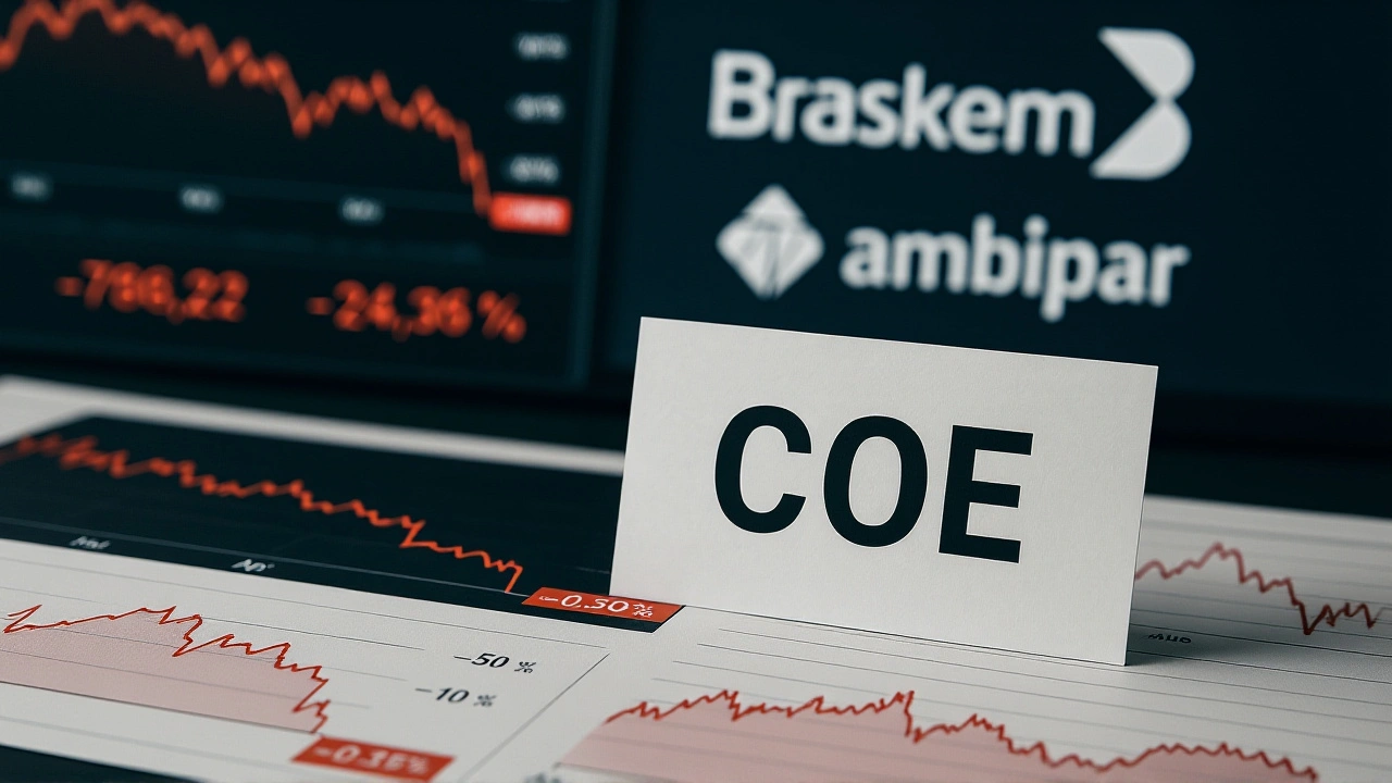 Contexto histórico da remuneração de administradores no Brasil